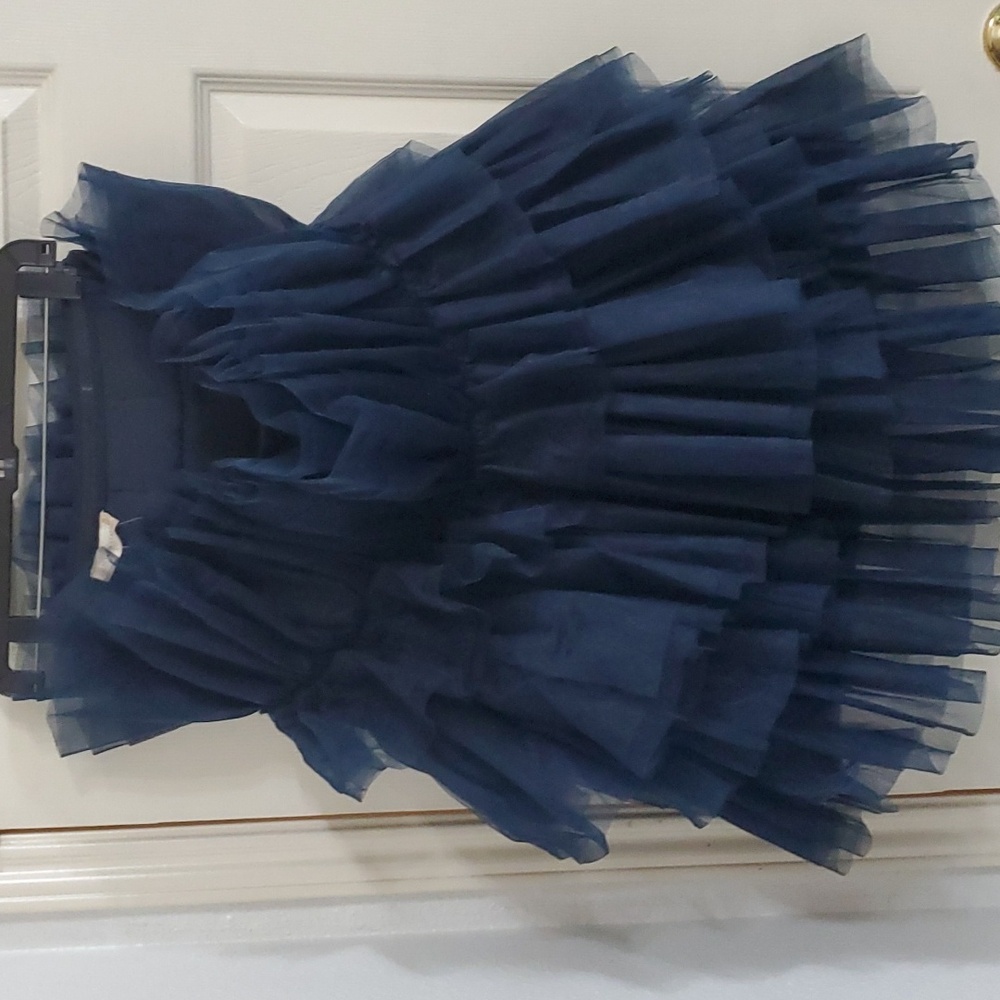 Altar'd State navy dark blue sheer chiffon Daria Tulle tutu mini Dress size L - Picture 4 of 5